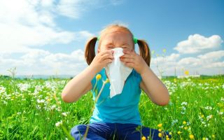 Аллергии у ребенка