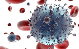 Лимфоциты у ребенка в крови — на что влияют, какова их норма