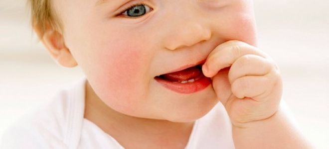 Порядок прорезывания зубов у малышей: как это будет?