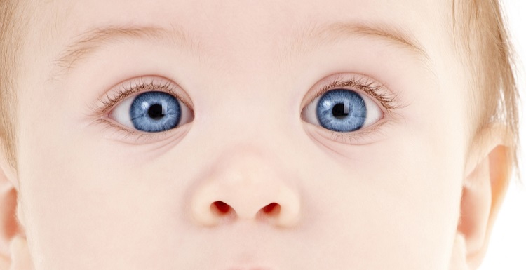 Синие глазки малыша