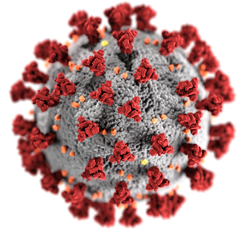 коронавирус, модель вируса, ковид, covid 19